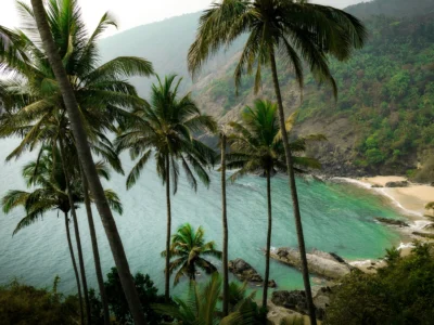 stays in arpora goa with triptip