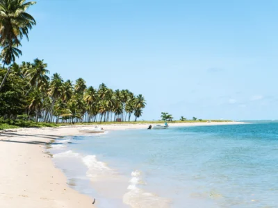 stays in baga goa with triptip