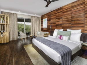 Luxury King with free Wi-Fi