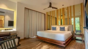 Azaya Suite